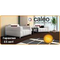 ������ ���  ������������ ��������� CALEO.