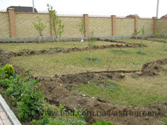 Ландшафтний дизайн &mdash; Астра Грин