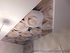 Фотопечать розы &mdash; Деко Стелі