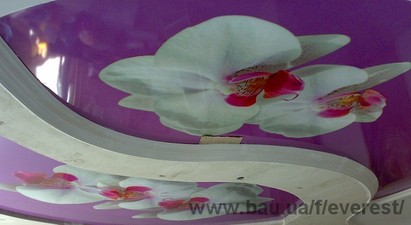 Натяжные потолки Everest &mdash; EVEREST