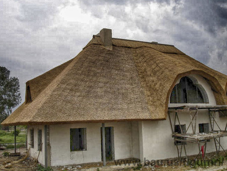 Камышовая кровля крыш