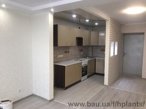 Ремонт под ключ &mdash; Хелси Плантс