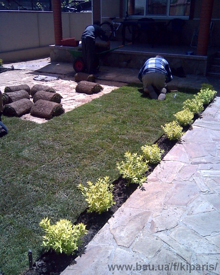 Ландшафтный дизайн