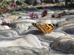 Студия ландшафтного проектирования "La Rossa" — La Rossa Студия ландшафтного проектирования "La Rossa" — La Rossa