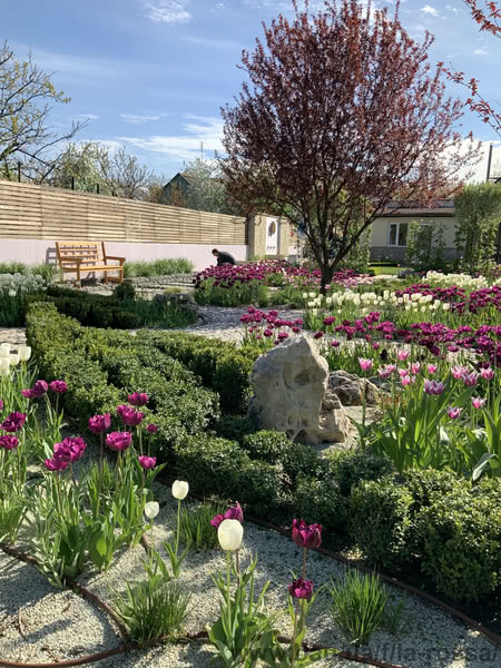 Студия ландшафтного дизайна La Rossa