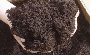 Растительный чернозем навалом, есть торфогрунт