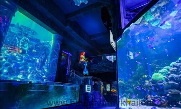 Львовский океанариум — Михайленко-АРТ Львовский океанариум — Михайленко-АРТ