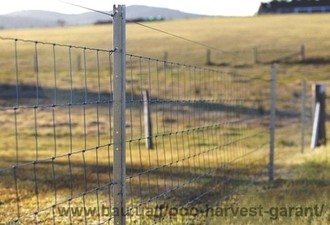 Сетка Казачка Облегченная &mdash; Харвест Гарант