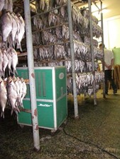 Контроль влажности при сушке рыбы — Осушители Интернет-магазин Контроль влажности при сушке рыбы — Осушители Интернет-магазин