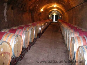 Контроль микроклимата в винном погребе — Осушители Интернет-магазин Контроль микроклимата в винном погребе — Осушители Интернет-магазин