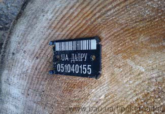 Официальный лес — Прикарпаття Официальный лес — Прикарпаття