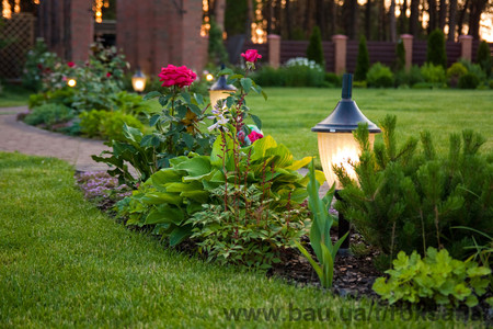 Ландшафтный дизайн