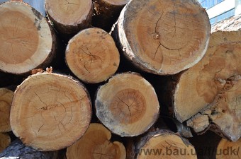 Закупка древесины &mdash; Украинская деревообрабатывающая компания