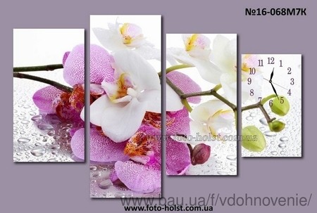 Модульные картины с часами, орхидея, цветы