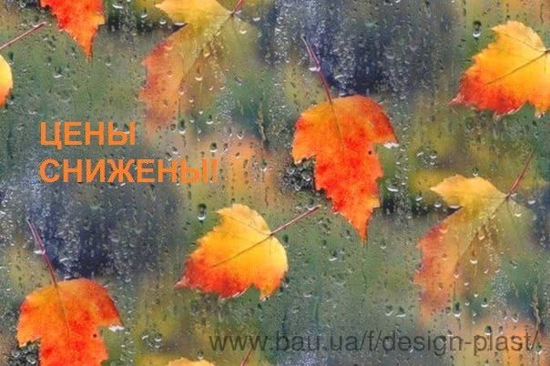 Снижение цен! Осень глубокая – цены низкие Снижение цен! Осень глубокая – цены низкие