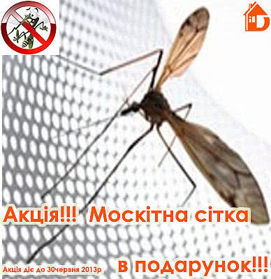 Акция! Москитная сетка в парок к окну. Акция! Москитная сетка в парок к окну.