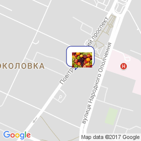 ПОЛЕ-САД на карте