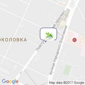 Термодом на карте