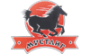 Логотип компании Мустанг-Украина
