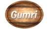 Логотип компании Гюмри