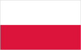 Польская компания хочет получать электроэнергию из Украины