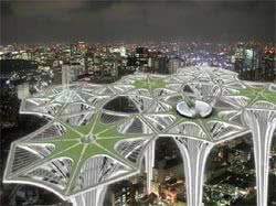 Архитектор из Сан-Франциско Джоанна Борек представила проект небоскребов будущего