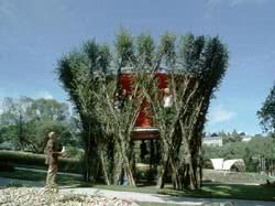 Группа немецких архитекторов разрабатывает сооружения, которые сделаны из живых деревьев