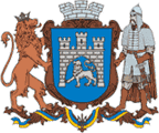 Будівельні роботи на львівському стадіоні до Євро-2012 входять у графік