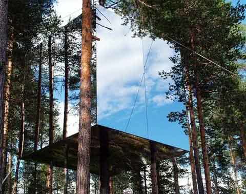 В Швеции открывается гостиница на дереве