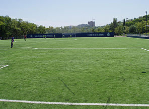 Футбольное поле &mdash; Инфоспорт-Арена