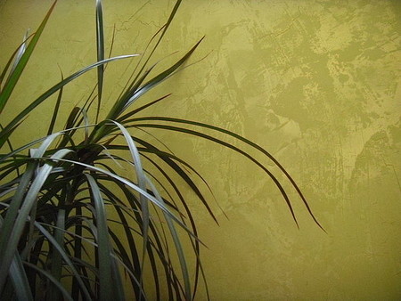 Декоративная штукатурка