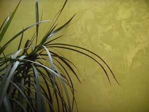 Декоративная штукатурка &mdash; Alphadecors