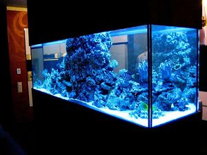 1 &mdash; ДонбассДизайн