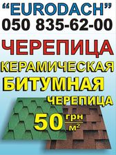 Eurodach &mdash; EURODACH