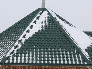 Водяники — Евро-Прокат Водяники — Евро-Прокат