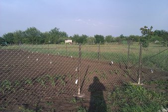 Прозрачный забор для дачи &mdash; Федоренко