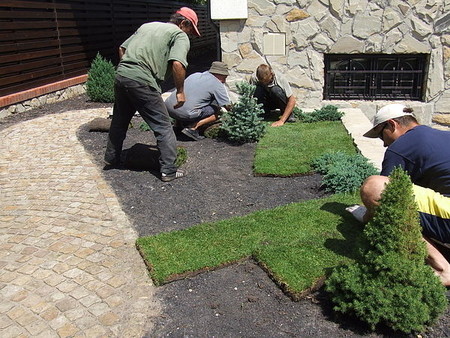 Укладка рулонного газону.