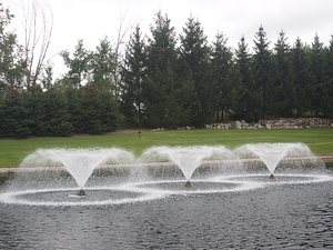 Плавающий фонтан-аэратор серии  с насадкой Tornado &mdash; МГК Союз