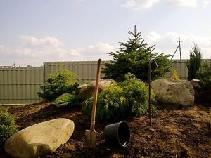 Озеленення ділянки-Ландшафтний дизайн &mdash; Ландшафт-студия