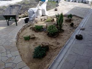 Озеленення ділянки-Ландшафтний дизайн &mdash; Ландшафт-студия