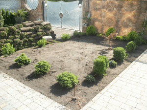 Газон за день &mdash; Ландшафт-студия