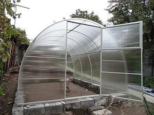 теплица &mdash; Нью Кепитал