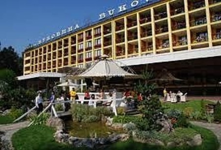 Отель Буковина