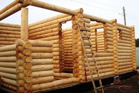 Оцилиндрованное бревно.