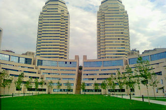 Рулонный газон — Газоны Украины Рулонный газон — Газоны Украины