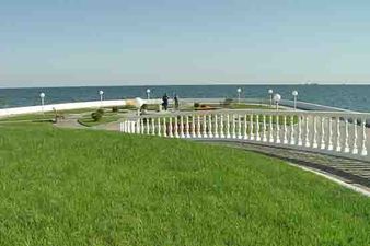 Рулонный газон — Газоны Украины Рулонный газон — Газоны Украины