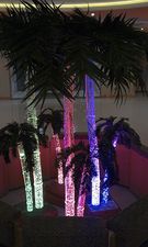 Аква-пальма &mdash; Центр АКВА-дизайна