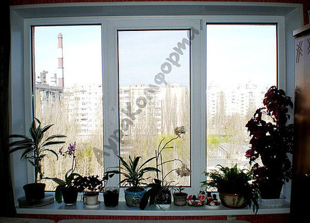 окно в чешке