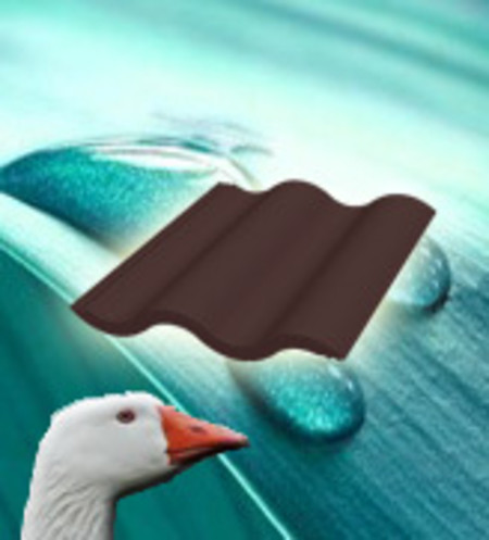 Водопоглощение