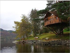 Дом на дереве &mdash; Дом на дереве